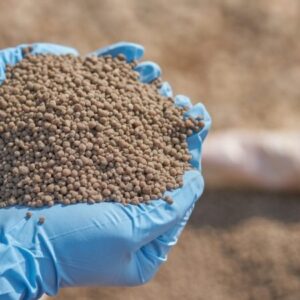 Buy Phosphate Online In Tanzania